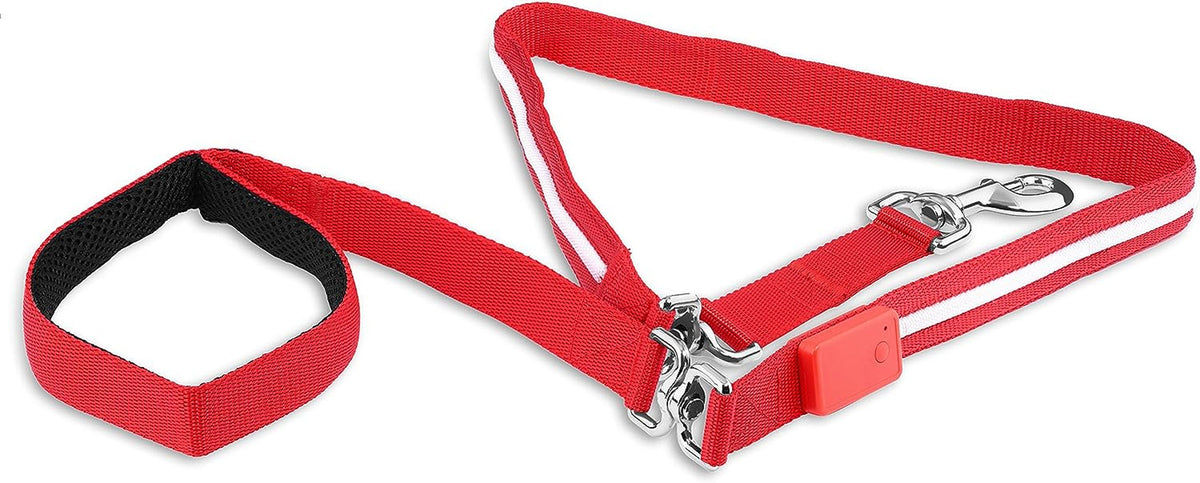 Waterproof LED Dog Leash, 6 ft, Rechargeable
