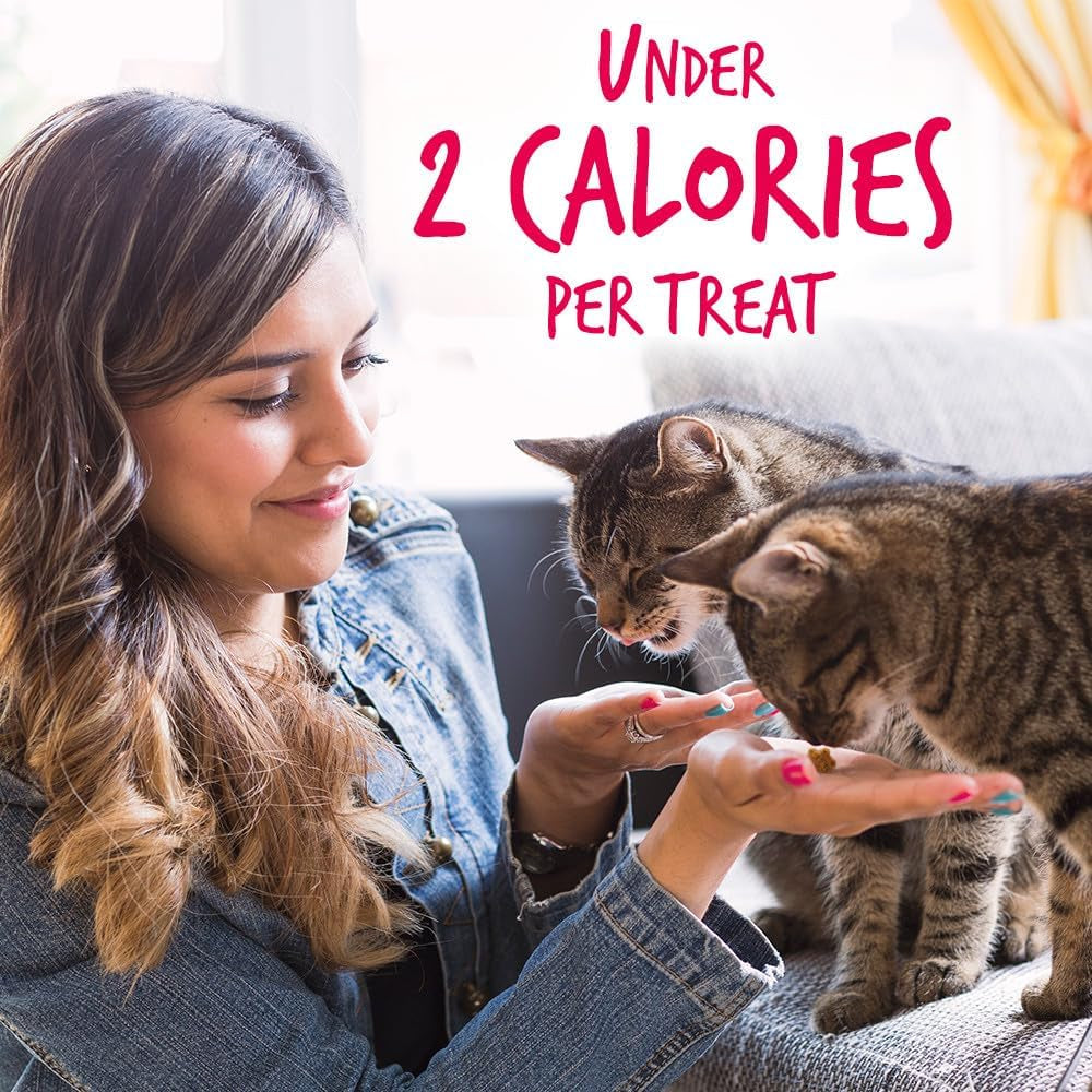 Crunchy Cat Treats Made with Salmon