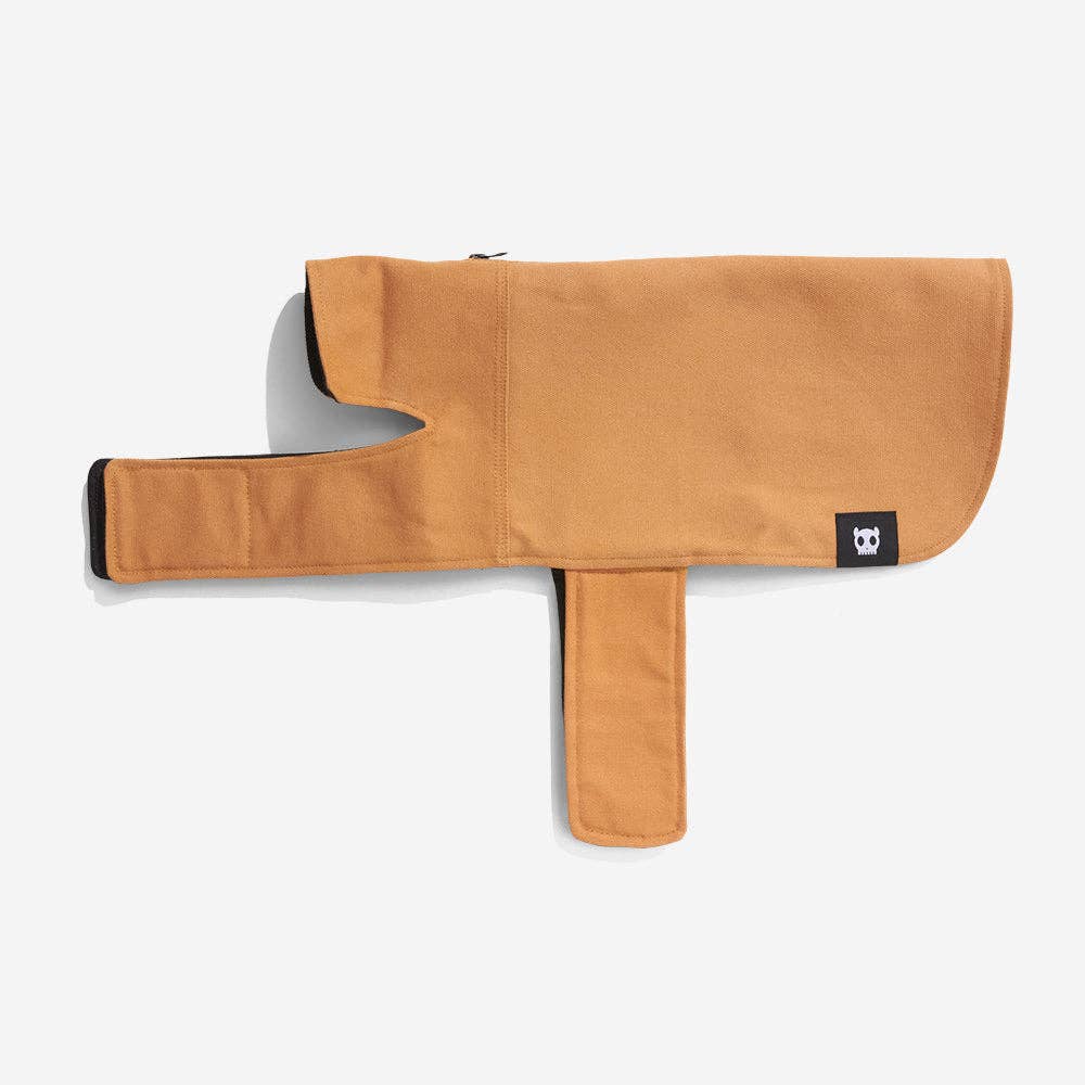 Beige cotton duck dog coat with corduroy collar