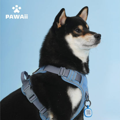 No-Pull Dog Harness with ID Tag for Small Dogs