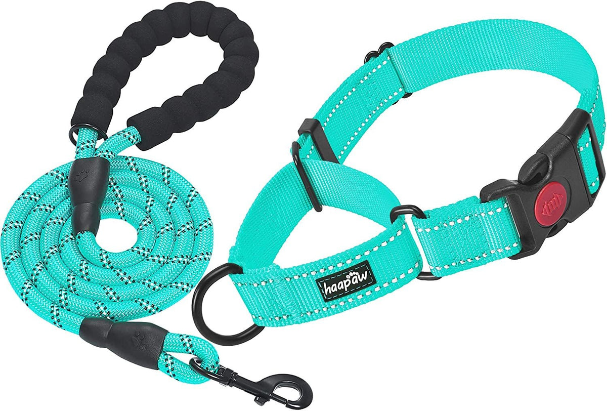 Dog Training Collars with Quick Release, 2 Pack