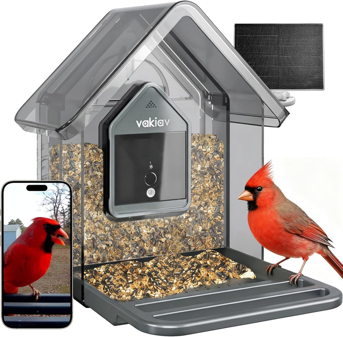 Smart bird feeder with camera, solar panel and a cardinal