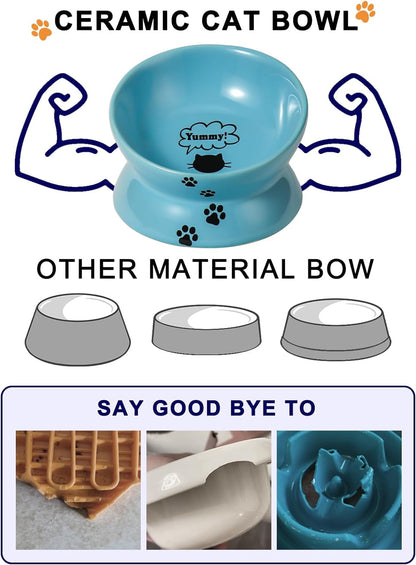 Tilted Elevated Ceramic Cat Bowl, Lake Blue