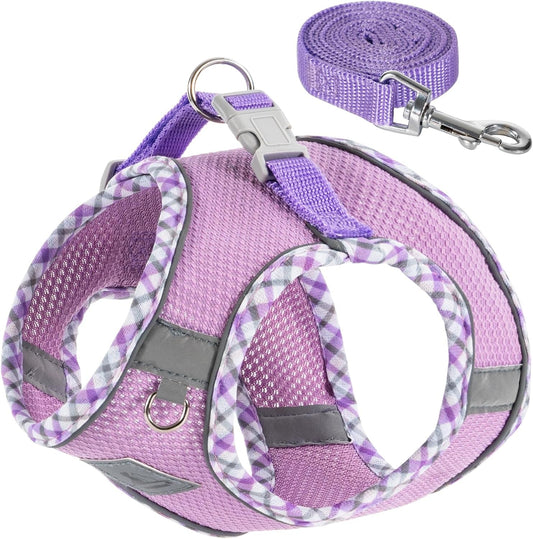 Step-In No-Pull Dog Harness and Leash Set for Small Dogs