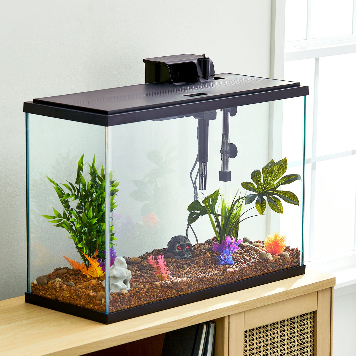 29 Gallon Glass Aquarium Starter Kit, Black