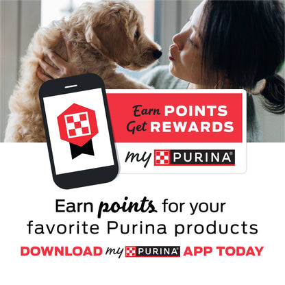 Purina DentaLife Dental Chews for Large Dogs, 18 Count, 20.7 oz