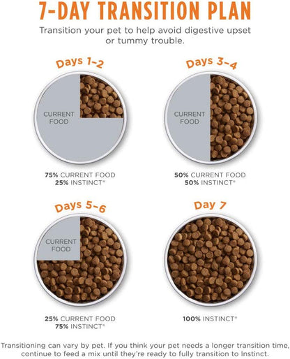 Grain-Free High Protein Dry Cat Food, 10 lb