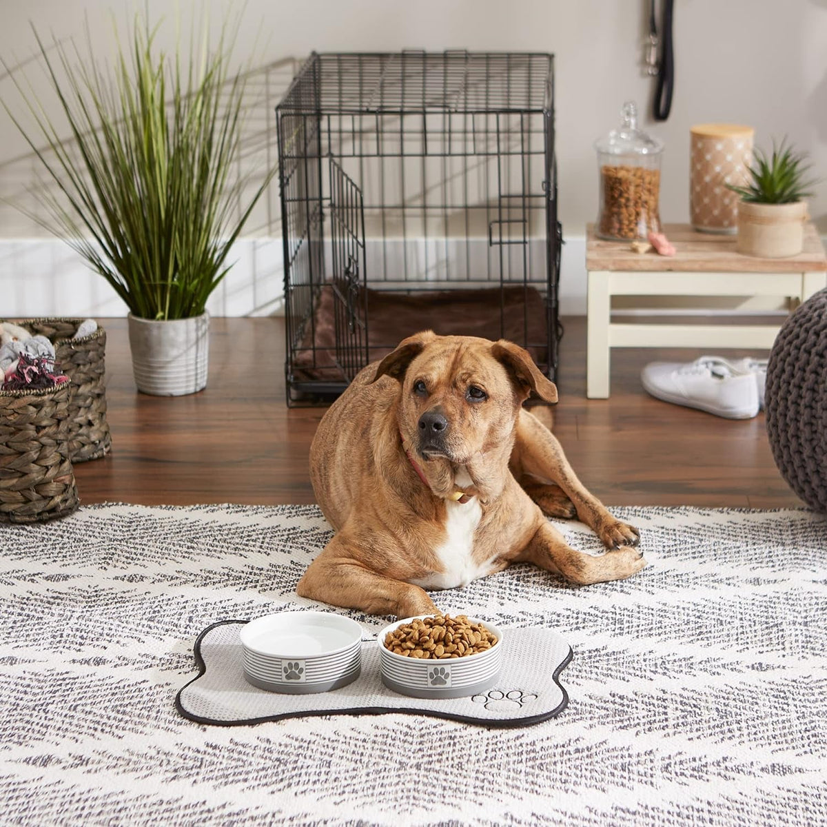 Ceramic Pet Bowl Set, Medium, 2 Piece, Gray