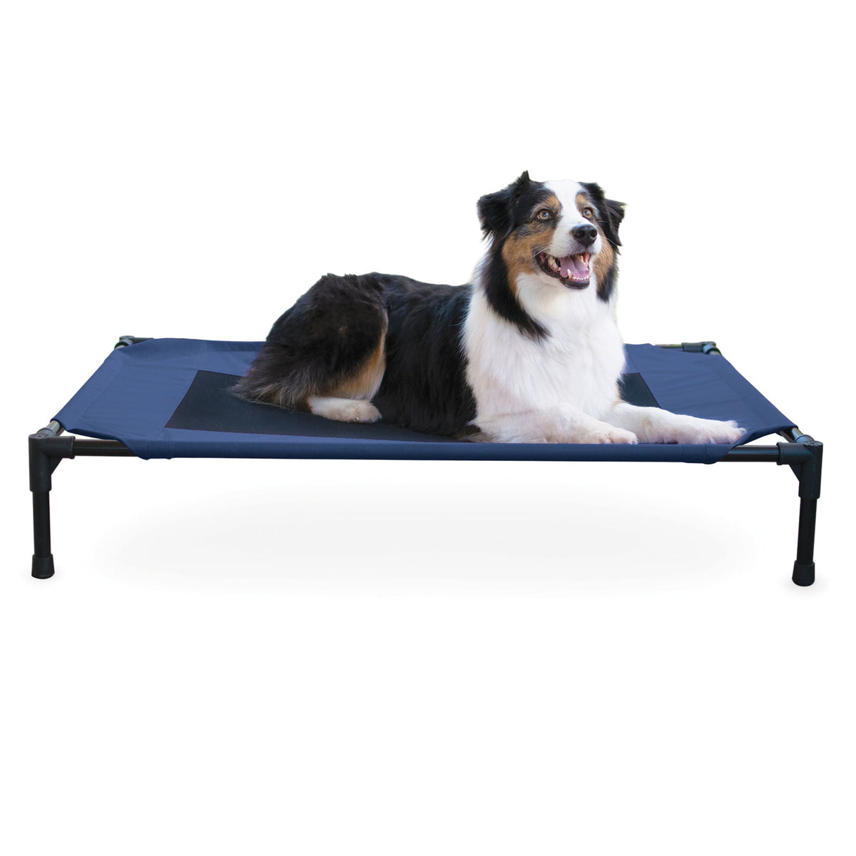 K&H elevated dog bed with cooling mesh