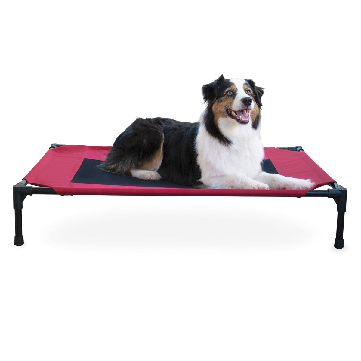 Elevated dog bed breathable mesh pet cot