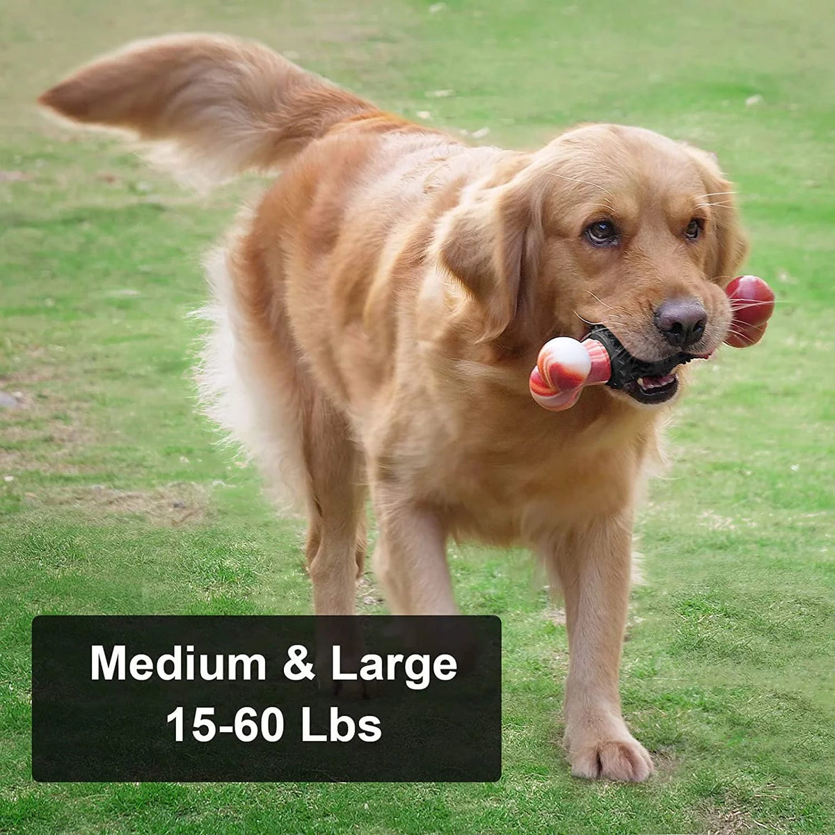 Indestructible Bone Chew Toy for Aggressive Chewers