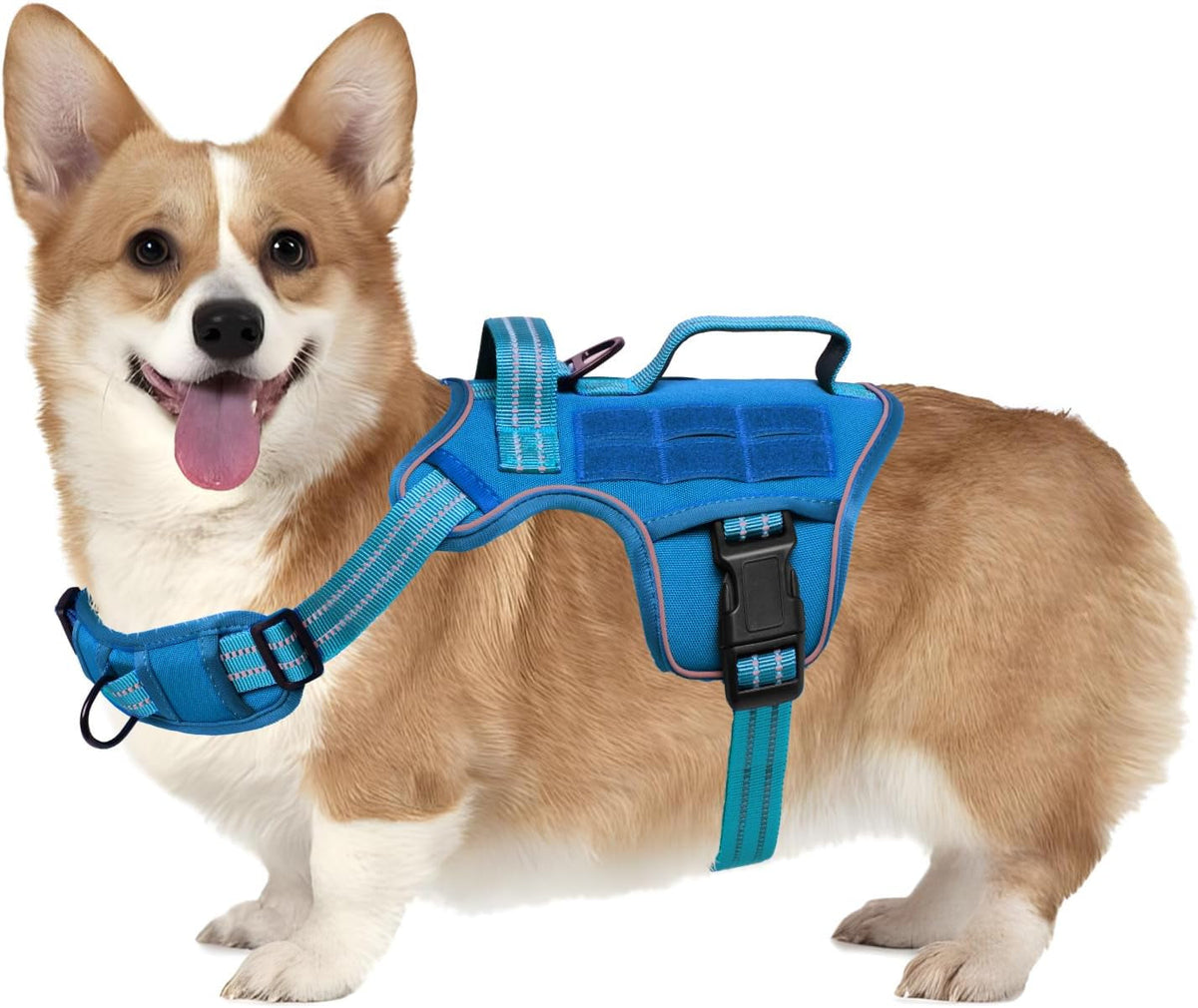 Heavy-Duty MOLLE Tactical Dog Harness, Medium to XL