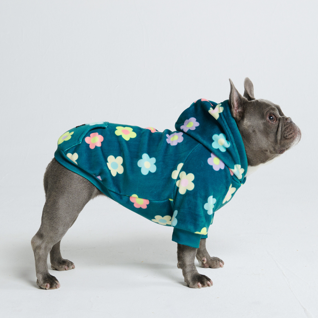 Green daisy print dog hoodie with fleece lining