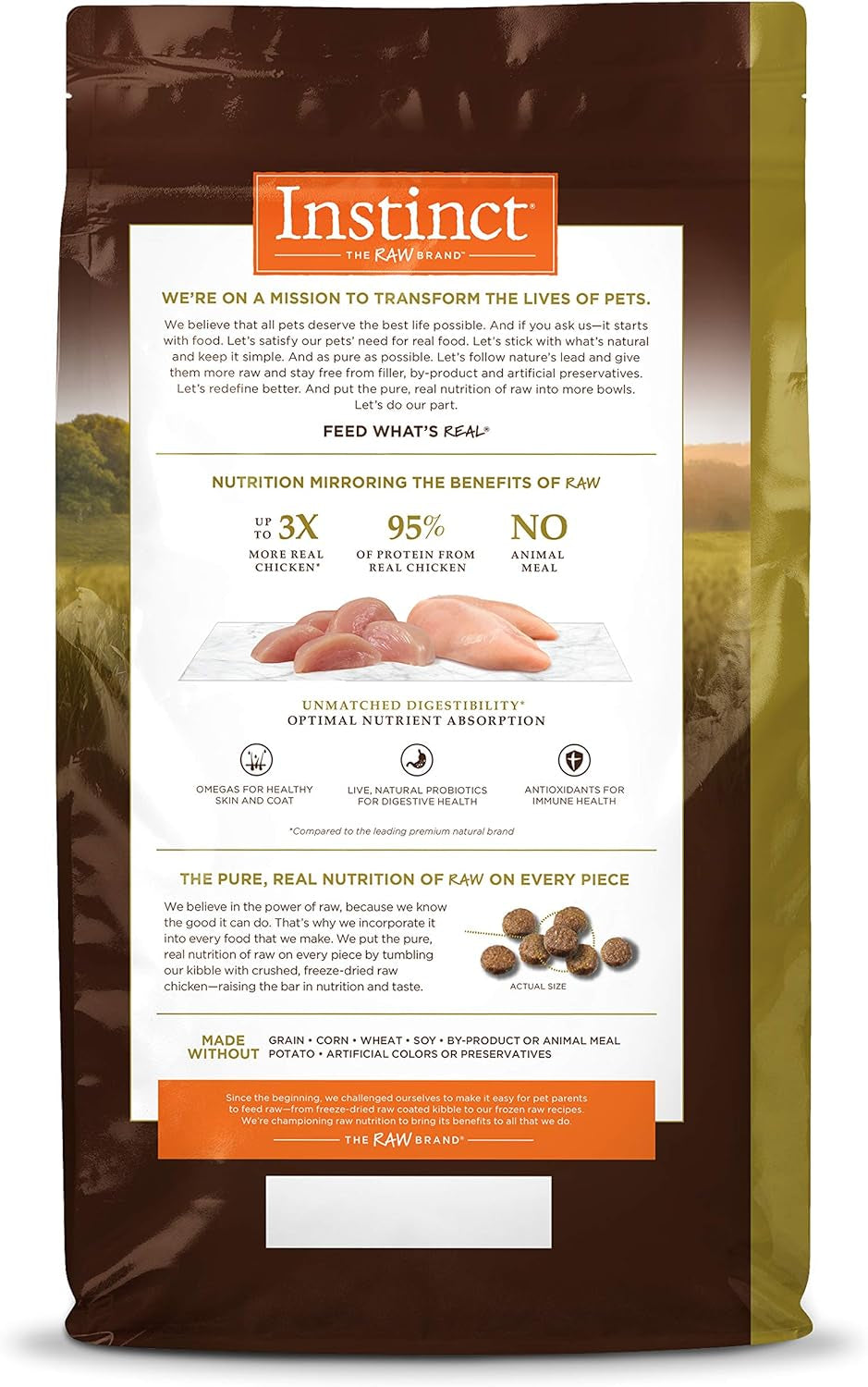Grain-Free High Protein Dry Cat Food, 10 lb