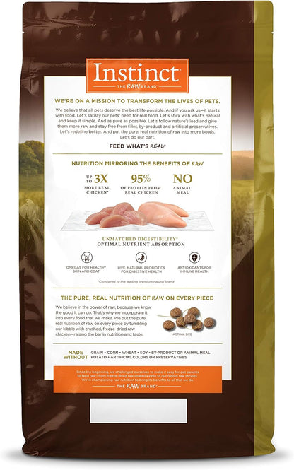 Grain-Free High Protein Dry Cat Food, 10 lb