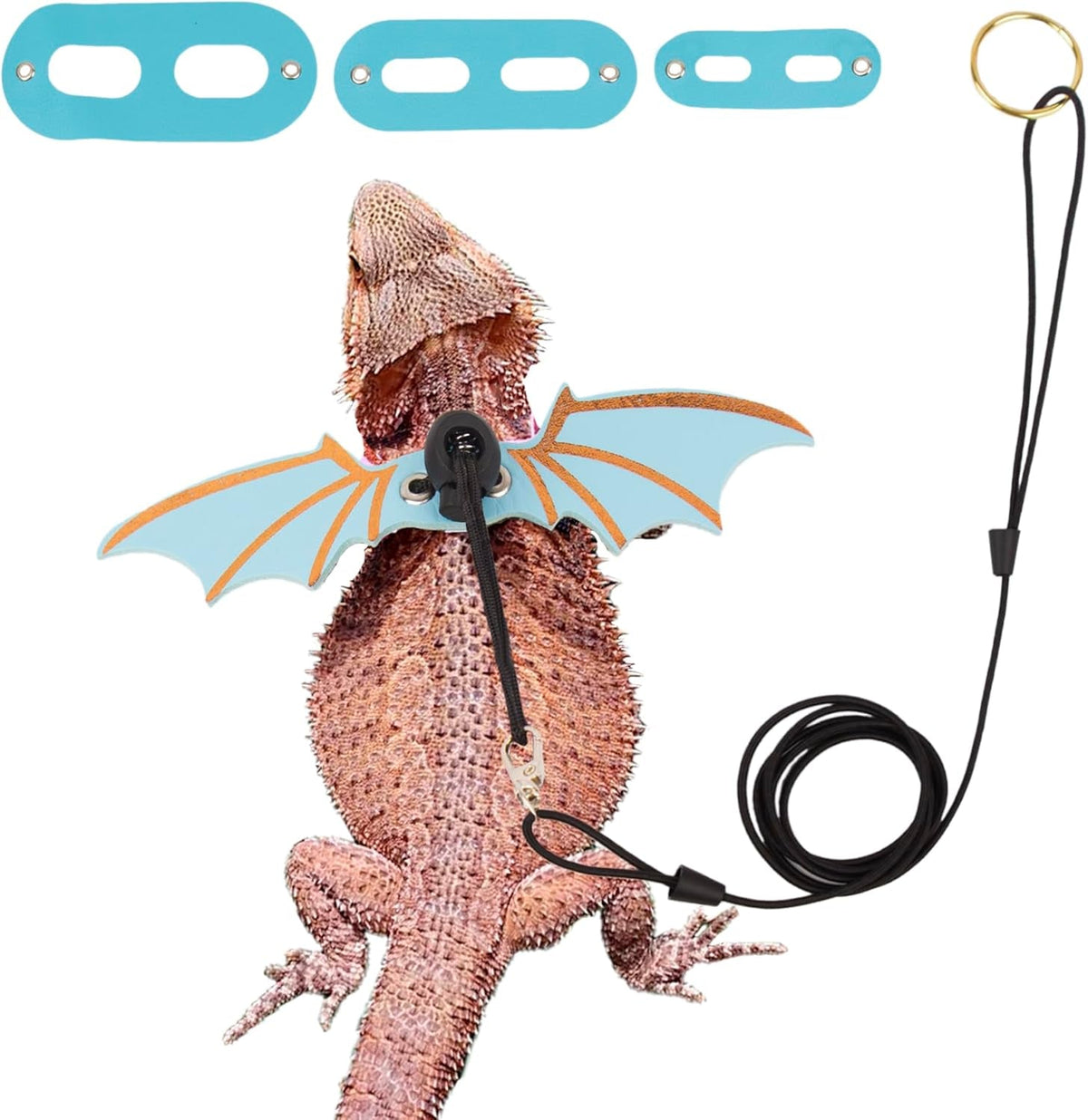 Bearded Dragon Harness with Wings
