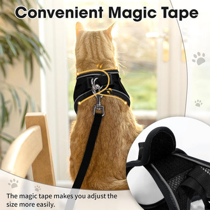 Hook-and-loop closure on the back of the cat harness