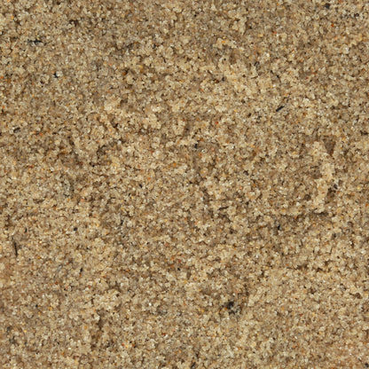 Natural Beach Sand Substrate for Hermit Crabs