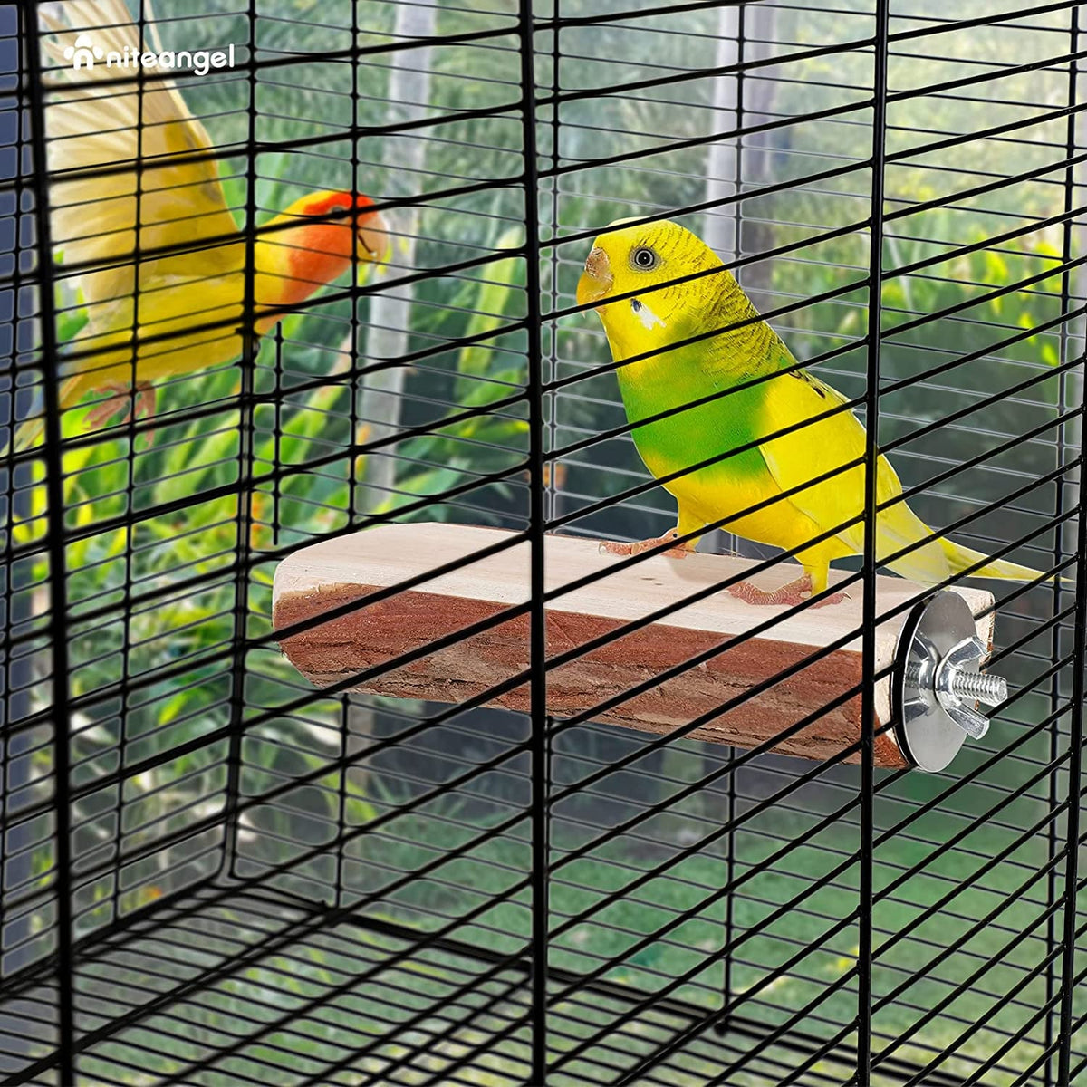 Wooden Parrot Cage Perch Platform, 2 Pack