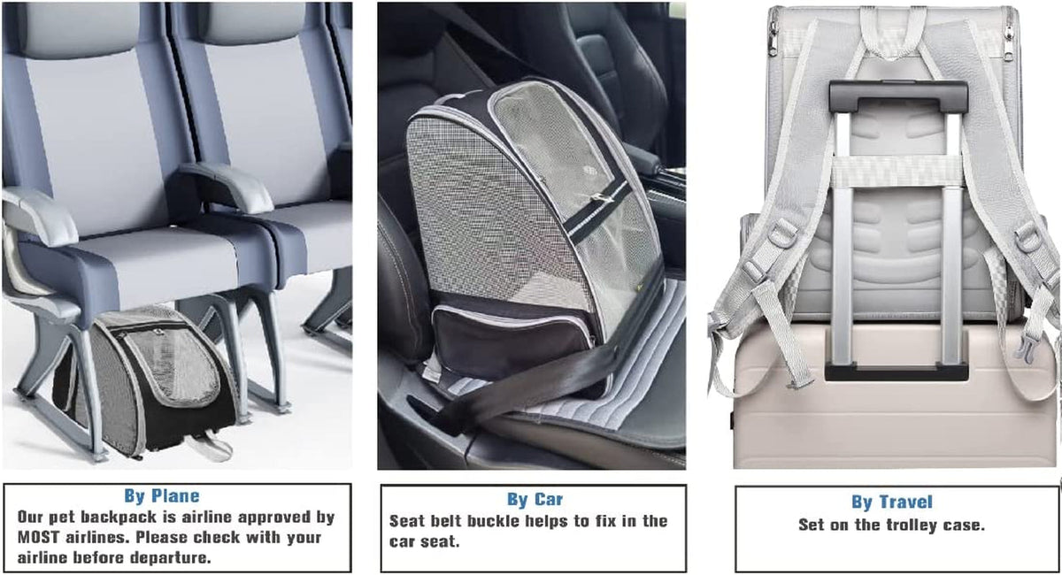 Bubble Backpack Pet Carrier for Cats and Dogs