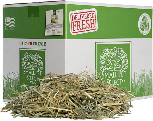 Oat Hay for Rabbits and Guinea Pigs, 20 lb
