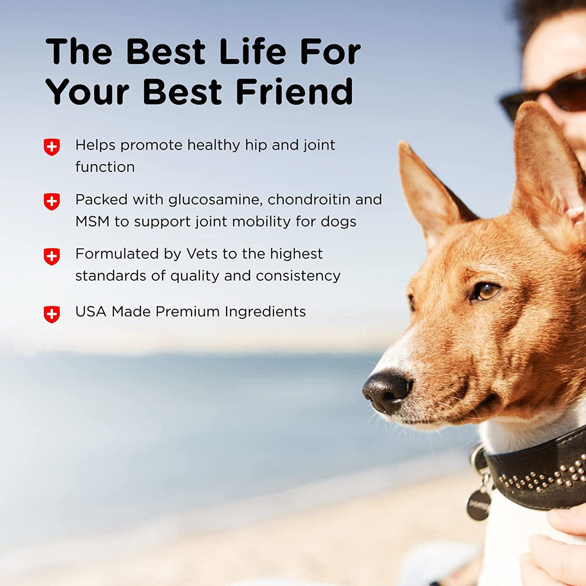 Advanced Strength Joint Chews for Dogs