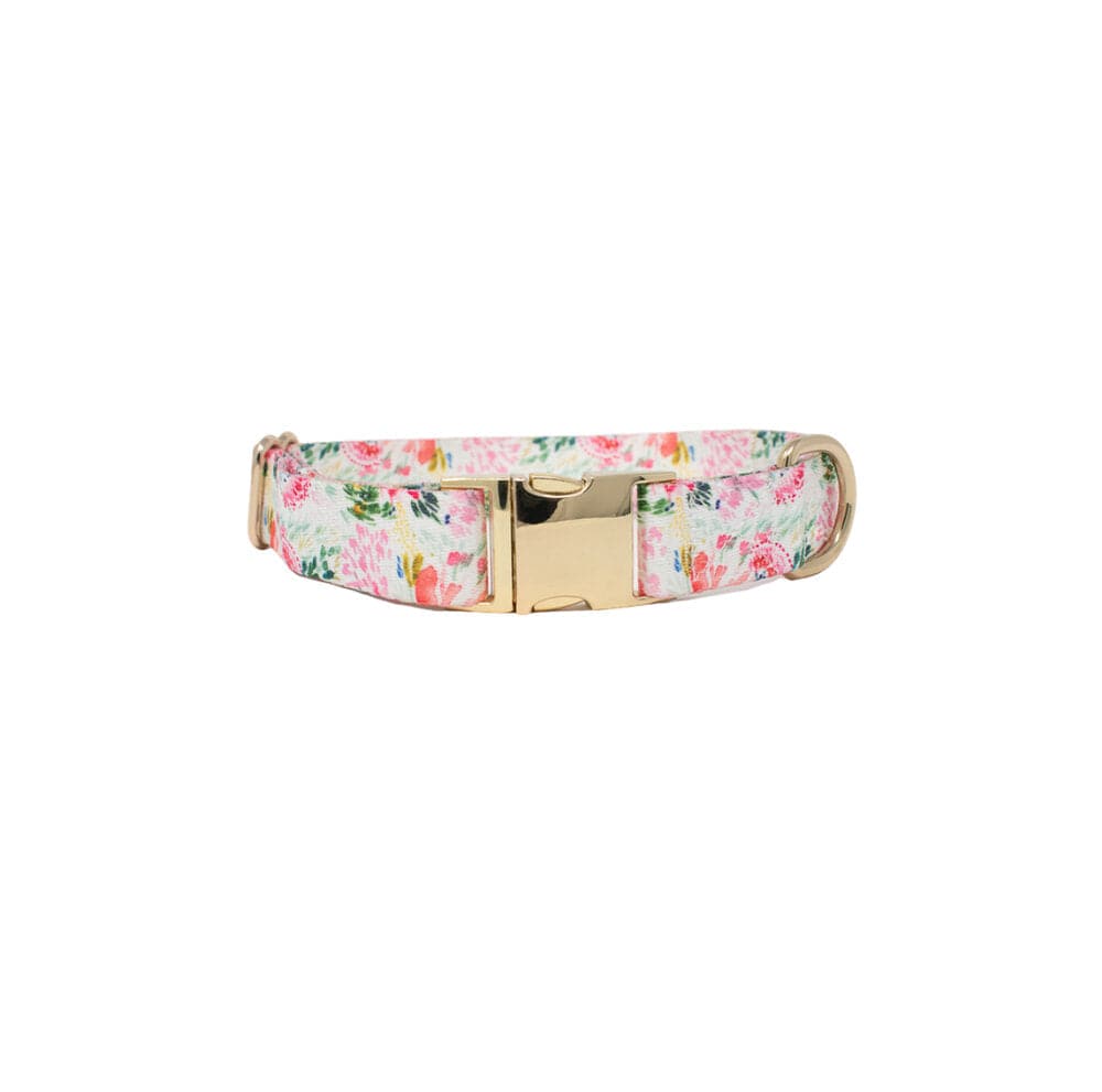 Isabella dog collar — additional photo 2