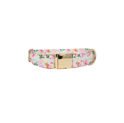 Isabella dog collar — additional photo 2