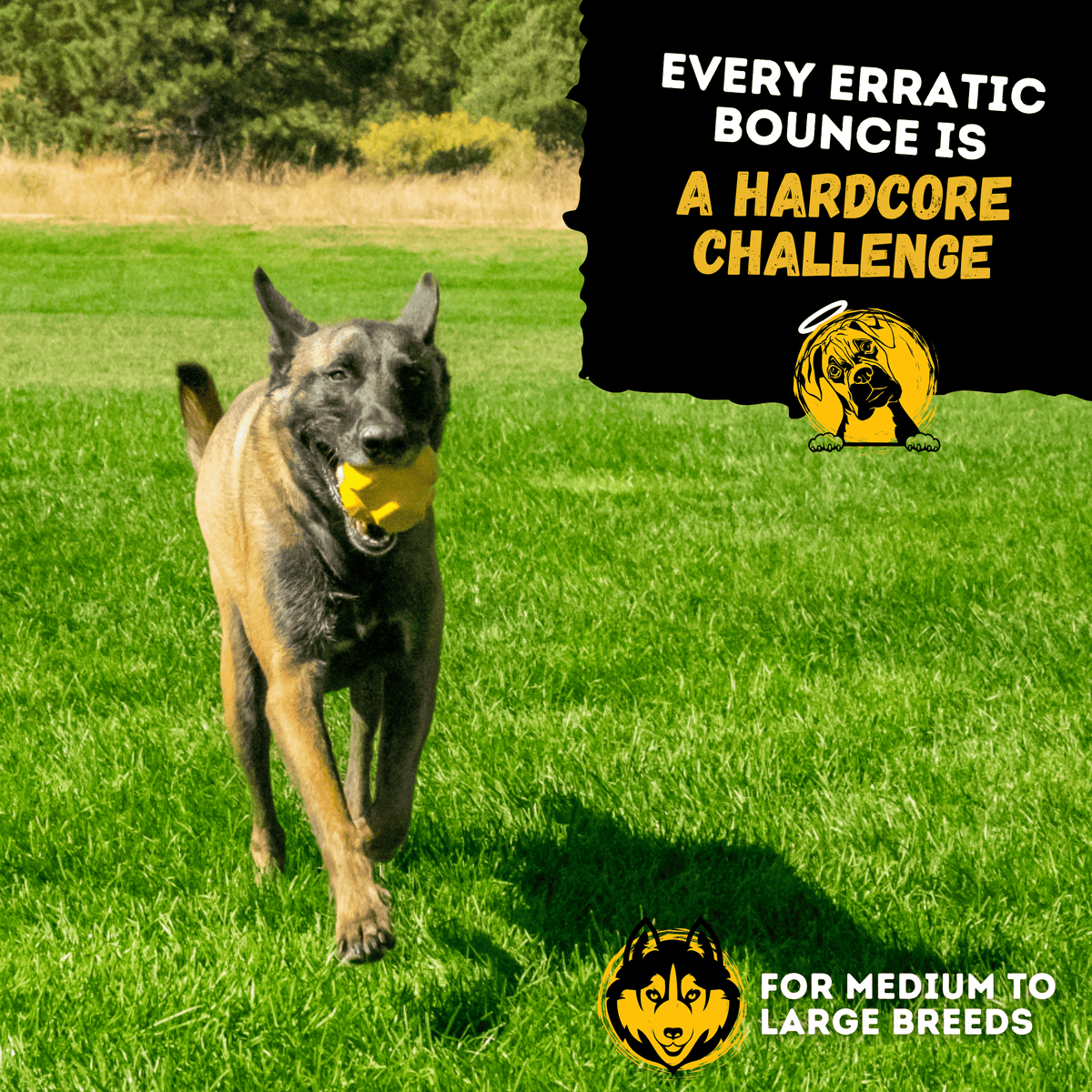Juke Ball Heavy-Duty Rubber Dog Ball