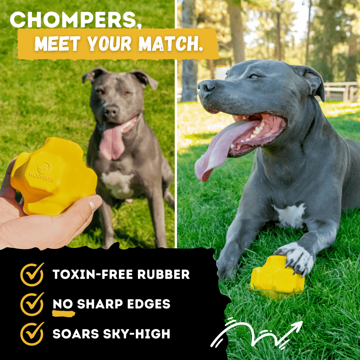 Juke Ball Heavy-Duty Rubber Dog Ball