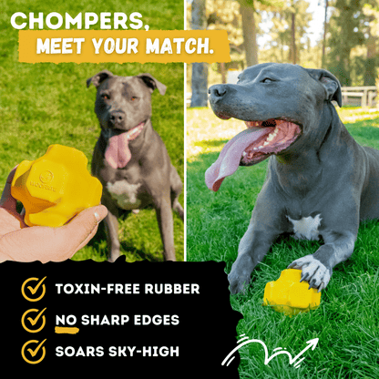 Juke Ball Heavy-Duty Rubber Dog Ball