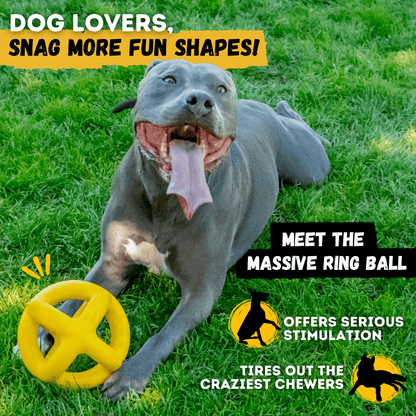 Juke Ball Heavy-Duty Rubber Dog Ball