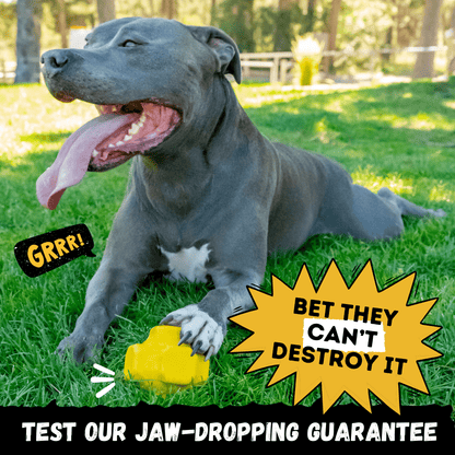 Juke Ball Heavy-Duty Rubber Dog Ball
