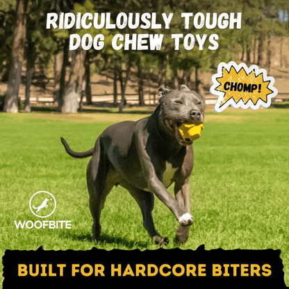 Juke Ball Heavy-Duty Rubber Dog Ball