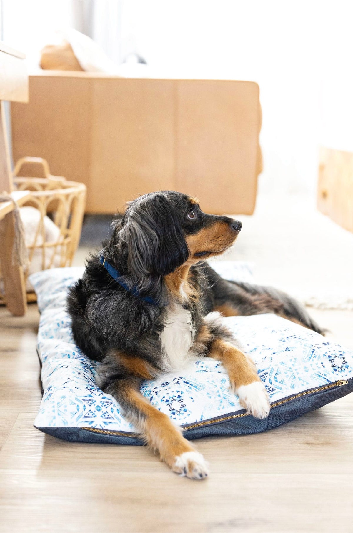 Koa dog bed — additional photo 4