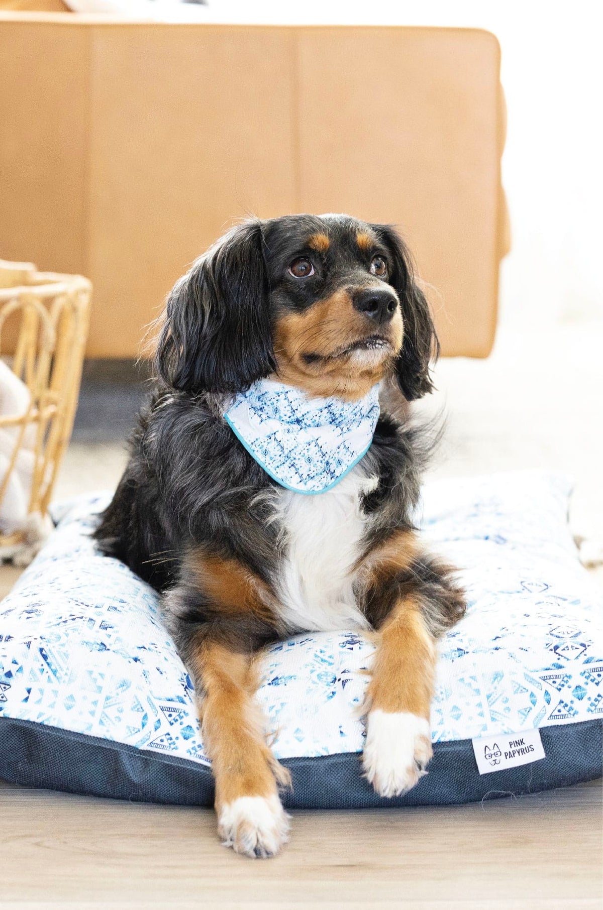 Koa dog bed — additional photo 7