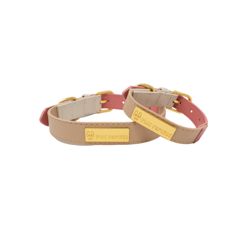 Lola dog collar — additional photo 2