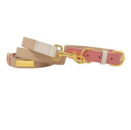 Lola dog leash — additional photo 4