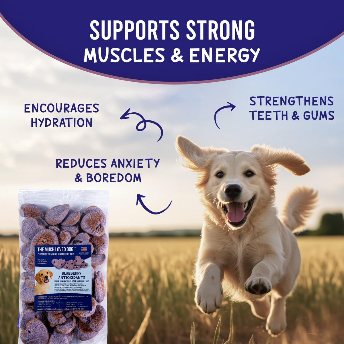 Much Loved Dog Blueberry Burst Treat Set