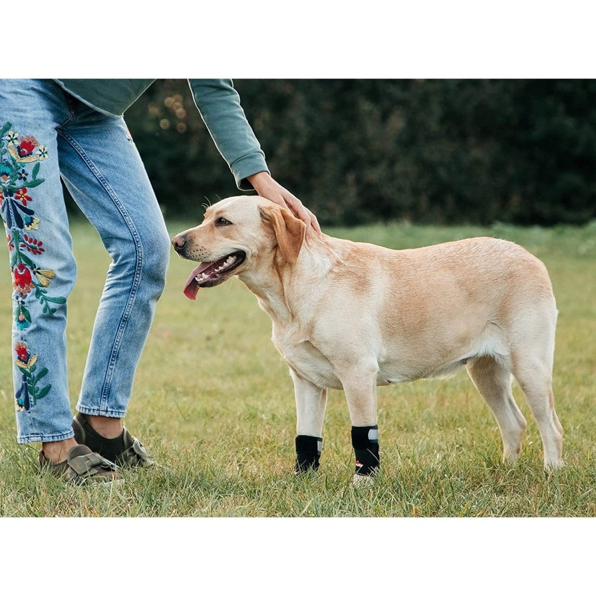 NeoAlly 3-in-1 Front Leg Dog Splint Brace, Pair