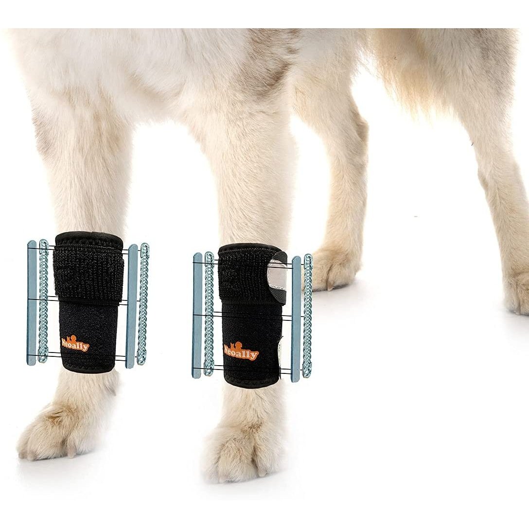 NeoAlly 3-in-1 Front Leg Dog Splint Brace, Pair