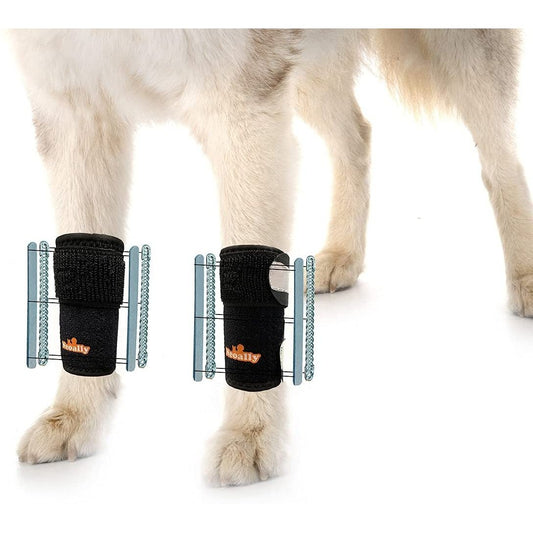 NeoAlly 3-in-1 Front Leg Dog Splint Brace, Pair