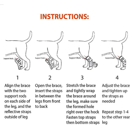 NeoAlly 3-in-1 Rear Leg Hock Brace for Large Dogs, Pair