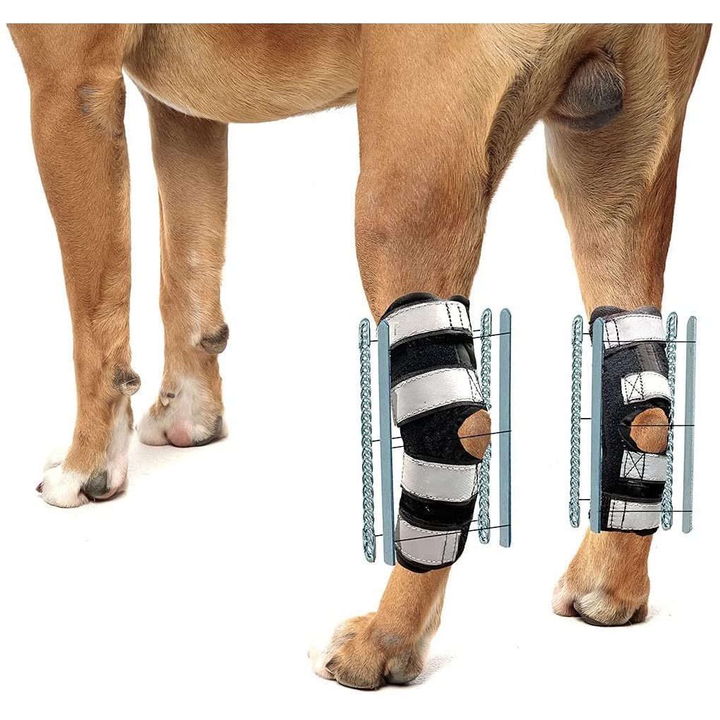 NeoAlly 3-in-1 Rear Leg Hock Brace for Large Dogs, Pair