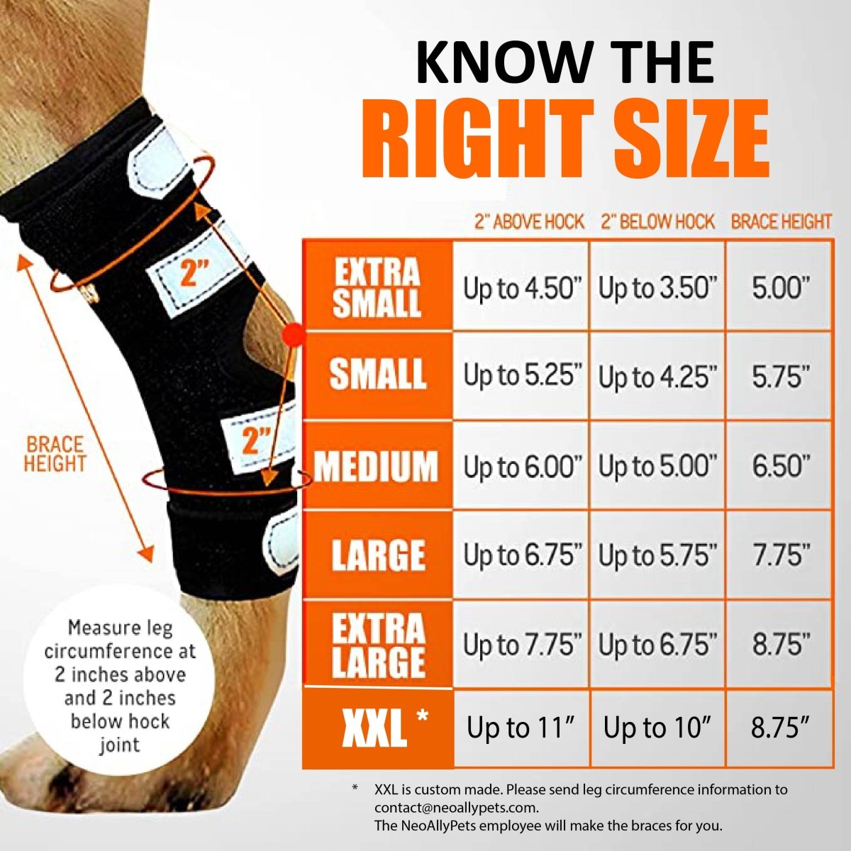 NeoAlly 3-in-1 Rear Leg Hock Brace for Large Dogs, Pair