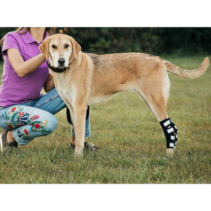 NeoAlly 3-in-1 Rear Leg Hock Brace for Large Dogs, Pair
