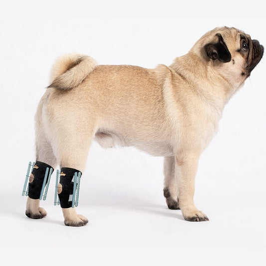 NeoAlly 3-in-1 Rear Leg Hock Brace for Small Dogs, Pair