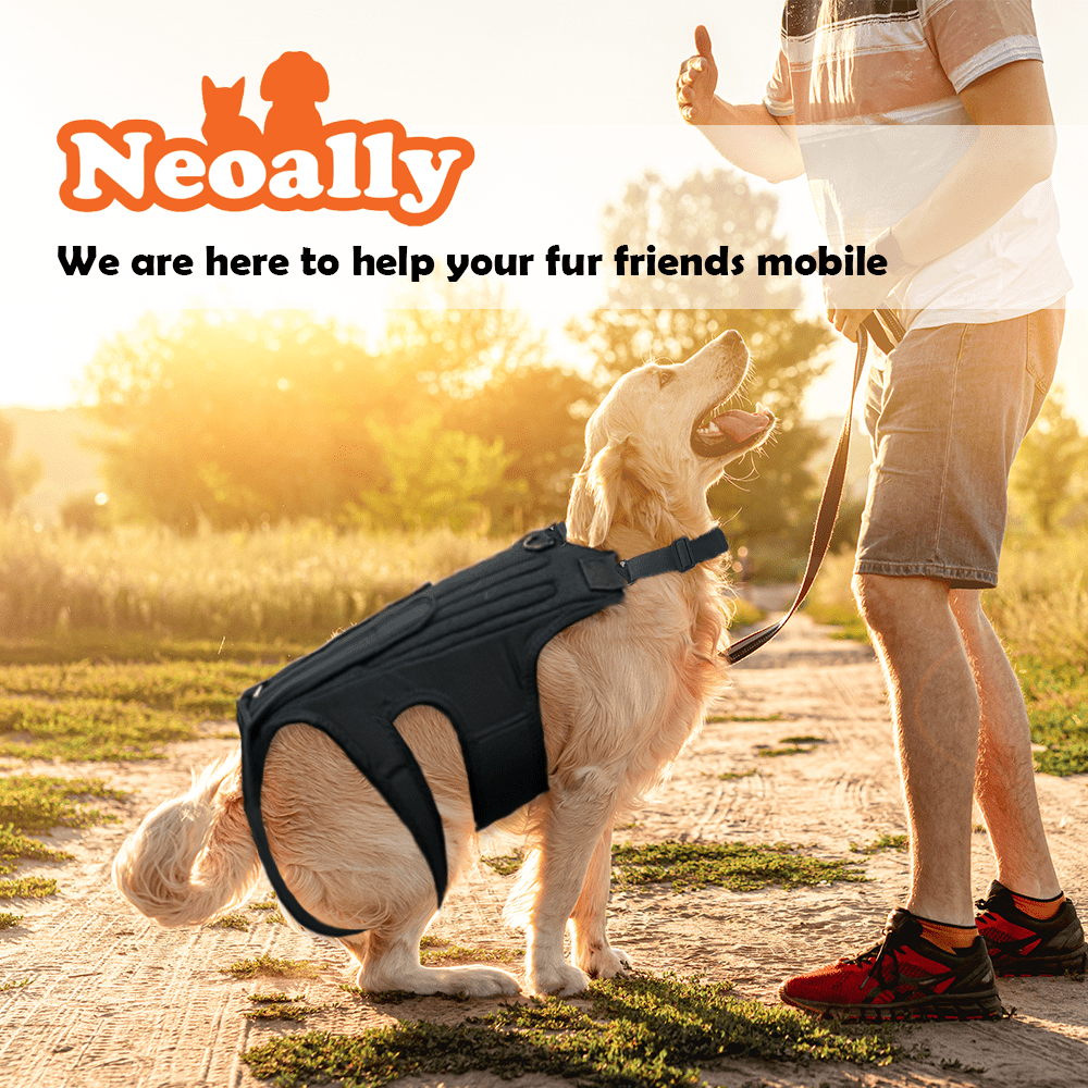 NeoAlly Dog Back Brace with Support Inserts