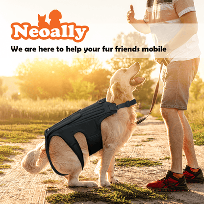 NeoAlly Dog Back Brace with Support Inserts
