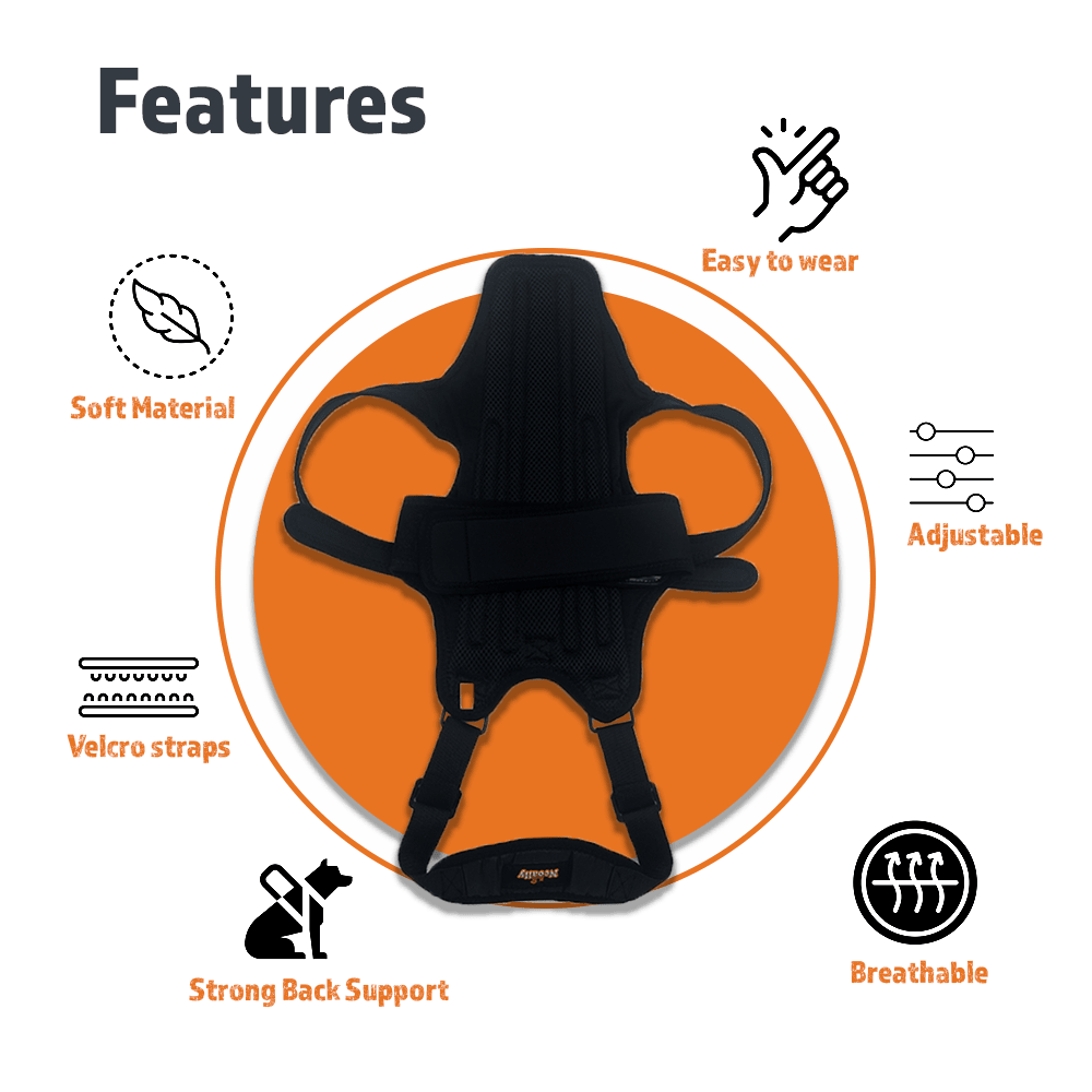 NeoAlly Dog Back Brace with Support Inserts